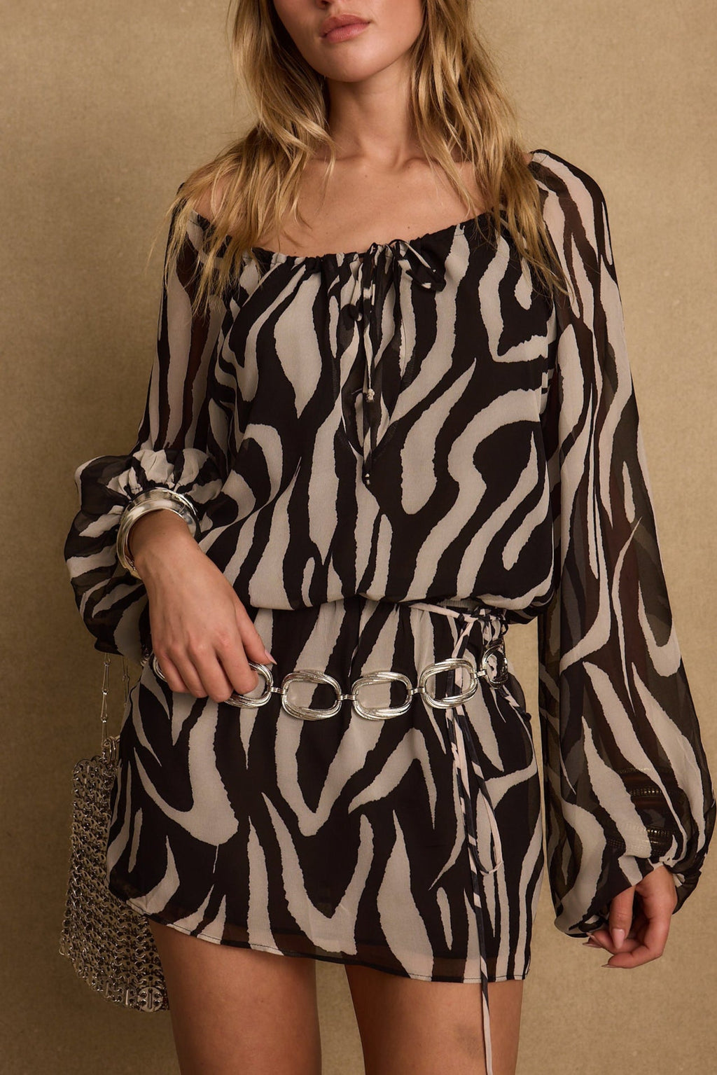 Gina Zebra Mini Dress