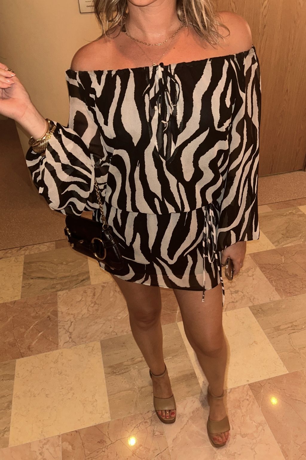 Gina Zebra Mini Dress